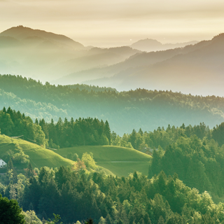 ��8-long8(����)Ψһ�ٷ���վ