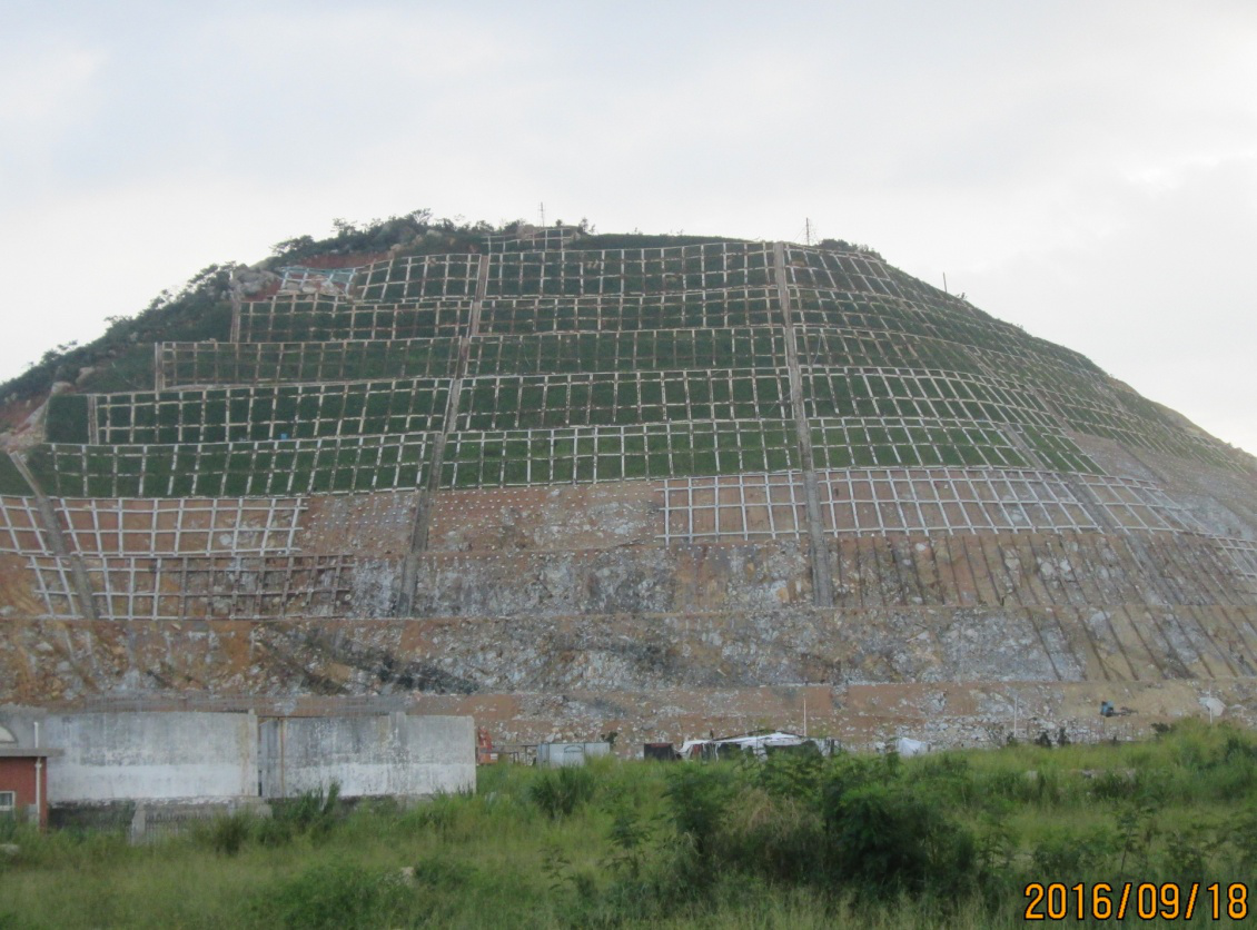 ��8-long8(����)Ψһ�ٷ���վ