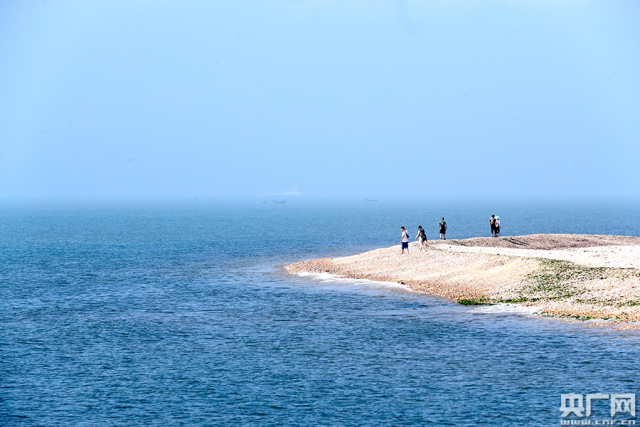 ��8-long8(����)Ψһ�ٷ���վ