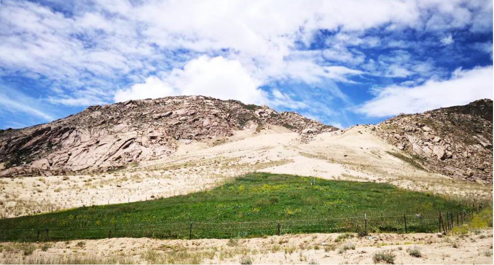 �ո�����ɳ��������