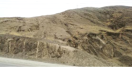 �տ����ɽ�ָ�ǰ