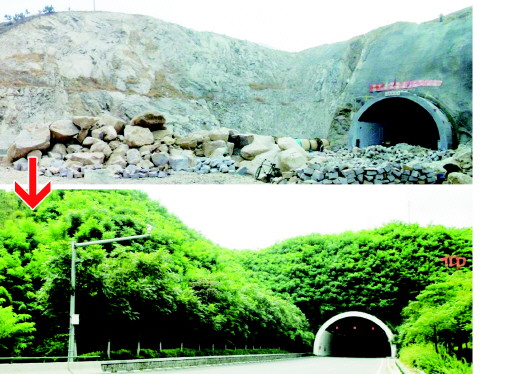 ��8-long8(����)Ψһ�ٷ���վ