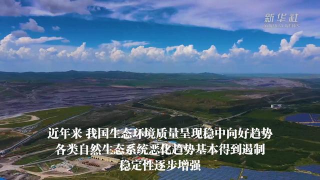 ��̬��������