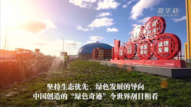 ��̬��ɫ����