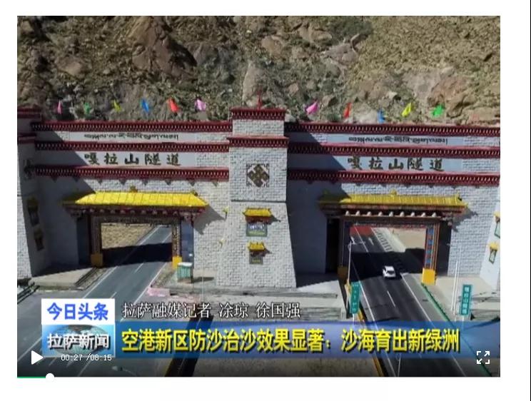 ��8-long8(����)Ψһ�ٷ���վ