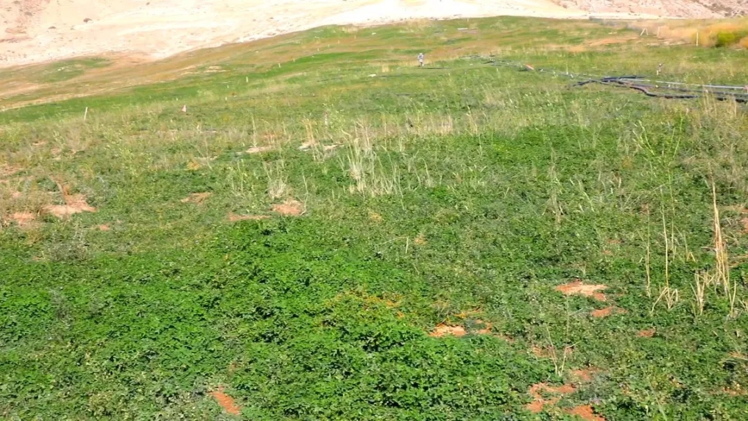 ��8-long8(����)Ψһ�ٷ���վ