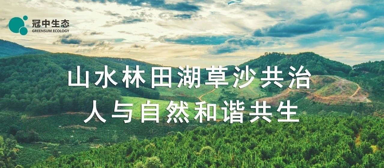 ��8ͷ�����Ψһ�ٷ���վ��Ϸ����