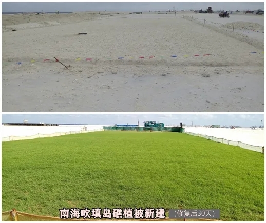 ÄϺ£Ö²±»ÐÞ¸´ ÄϺ£Ö²±»ÐÞ¸´