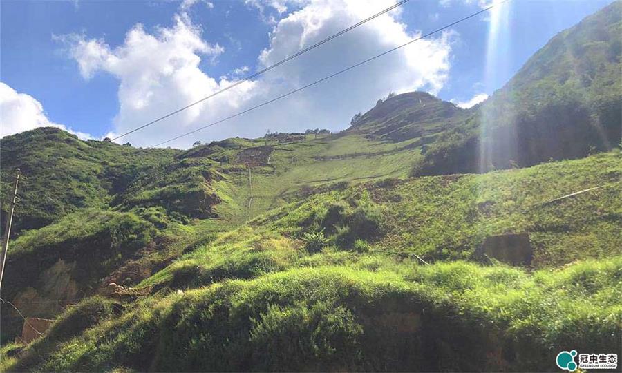 �����޸���