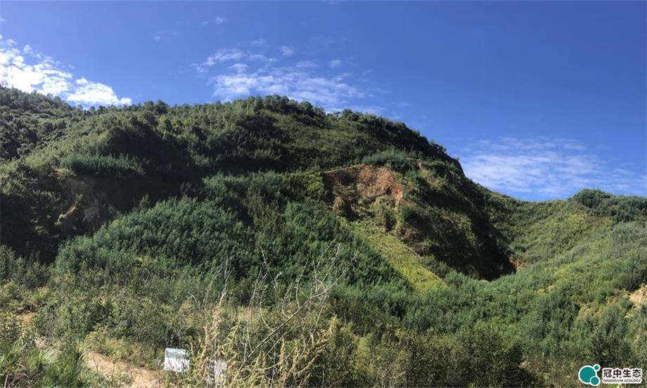 ���������޸���