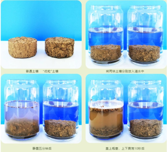 ����������������ʴ������ʾ