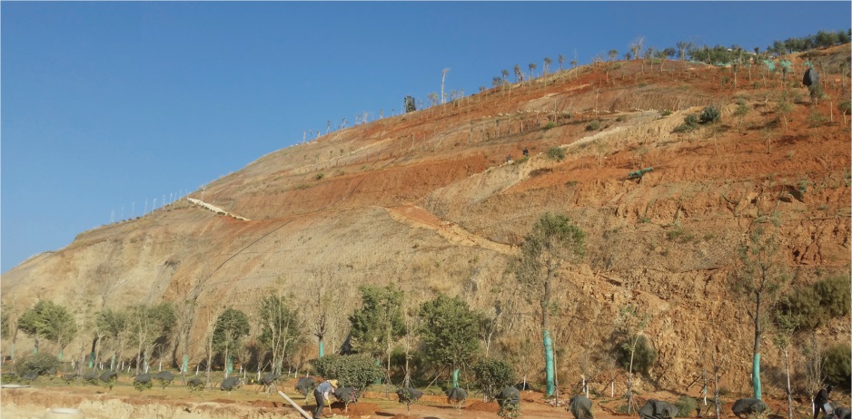 �����޸�ǰ