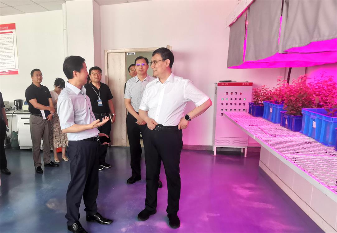 ����ʵ����