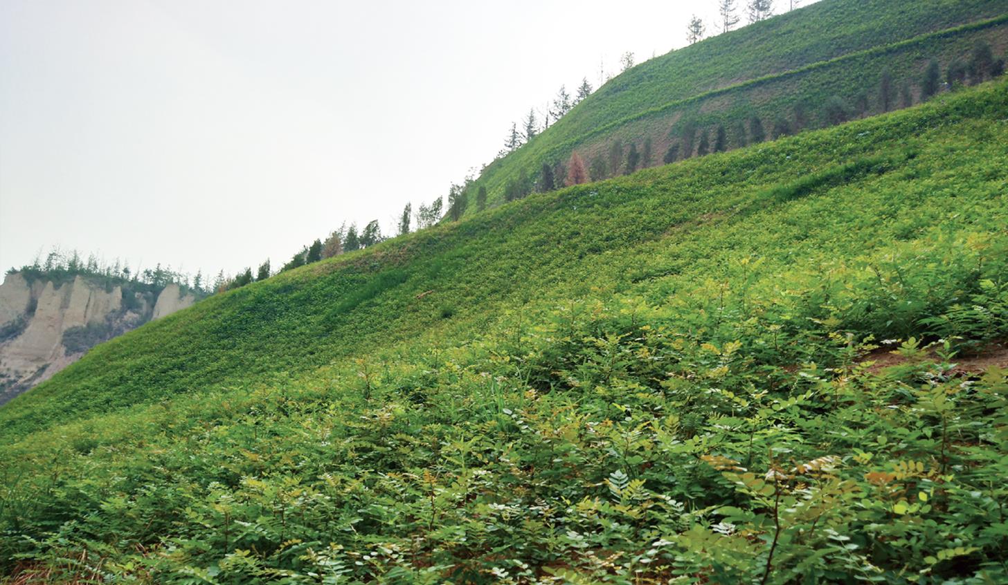 ��8-long8(����)Ψһ�ٷ���վ