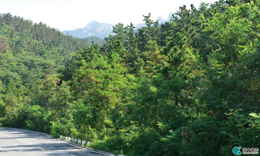 ��8-long8(����)Ψһ�ٷ���վ