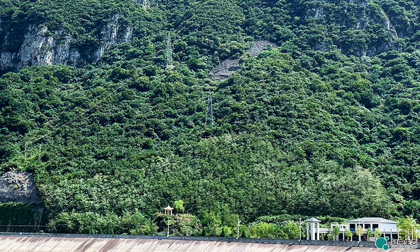 ��8-long8(����)Ψһ�ٷ���վ