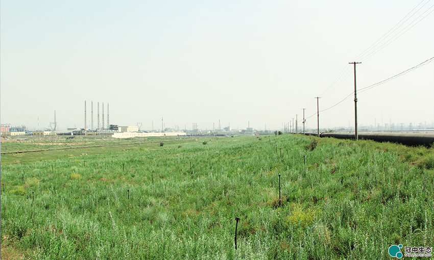 ��8-long8(����)Ψһ�ٷ���վ