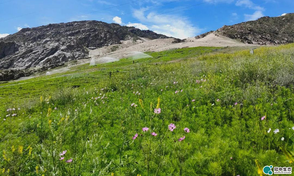 ��8-long8(����)Ψһ�ٷ���վ