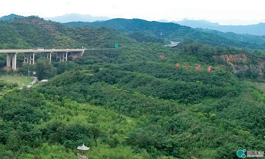 ��8-long8(����)Ψһ�ٷ���վ