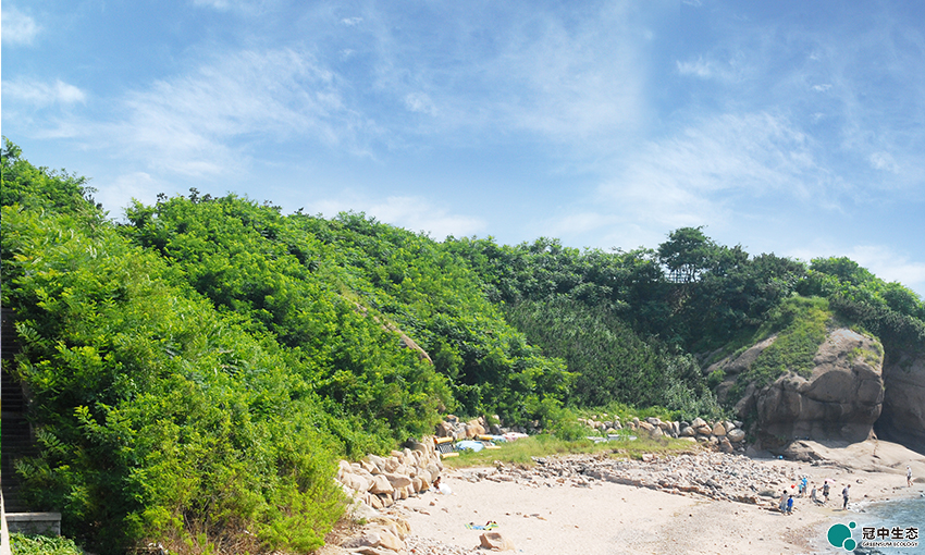 ��8-long8(����)Ψһ�ٷ���վ