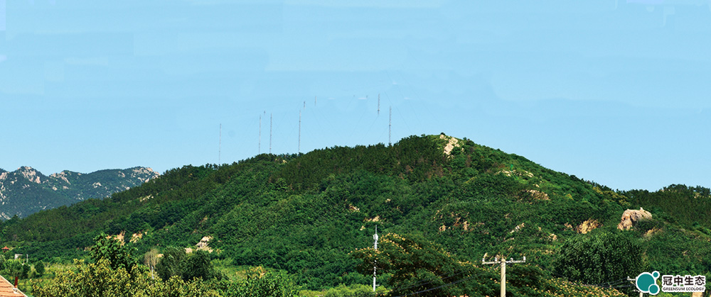 ��8ͷ�����Ψһ�ٷ���վ��Ϸ��̬��ɽ�޸���Ŀ