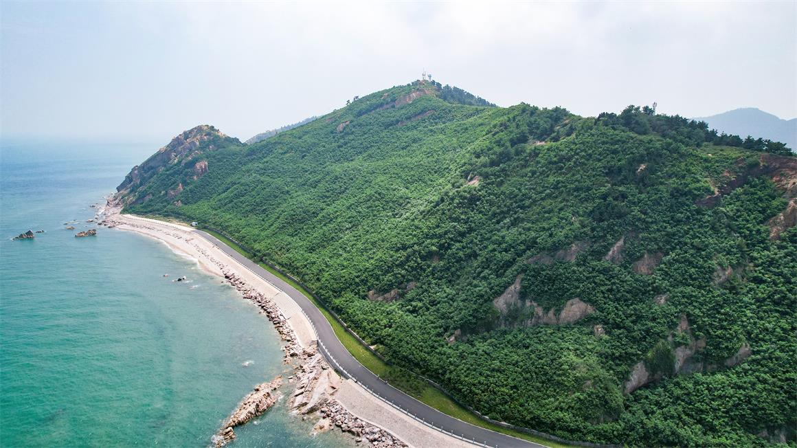 �޸���4��