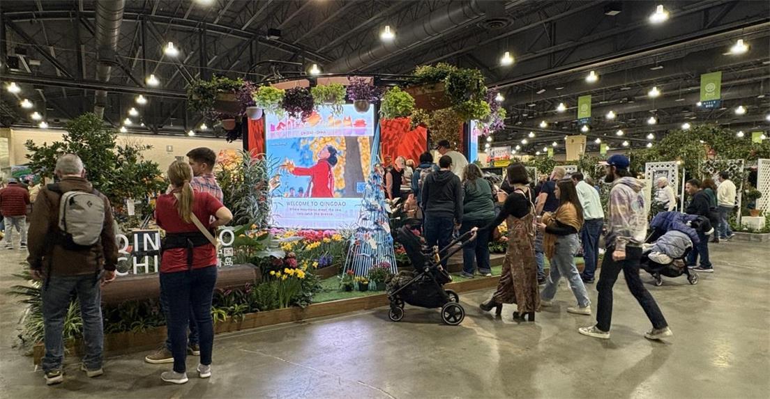 ��8-long8(����)Ψһ�ٷ���վ